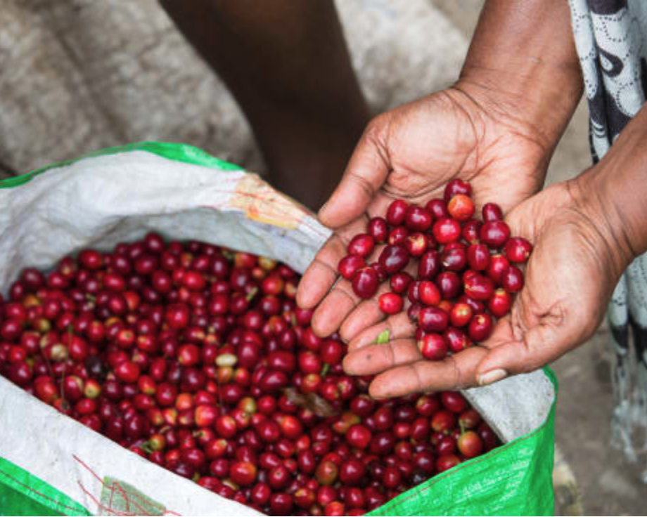 Papua New Guinea - Wahgi Valley - Kunjin